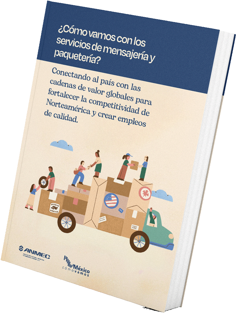 Mockup del documento principal de ANMEC
